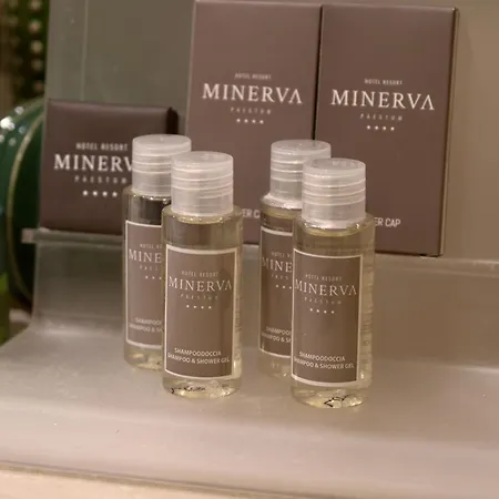 Minerva Resort Hotel-2